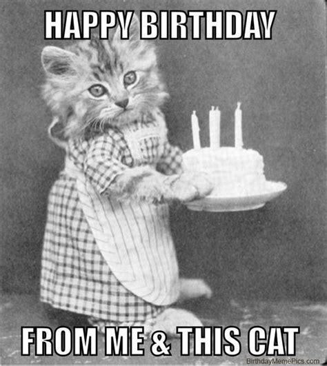 Happy Birthday Memes With Cats