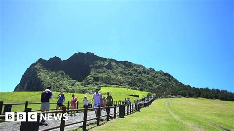 Yemeni Refugees Flee To South Korean Holiday Island Of Jeju Bbc News