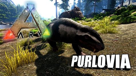 Taming A Purlovia Ark Survival Evolved The Island Youtube