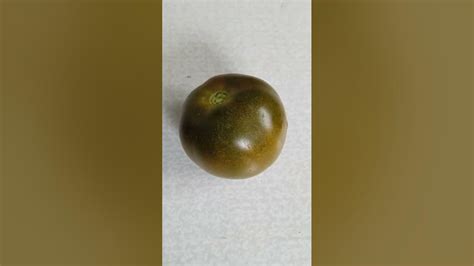 Самый лучший томат в мире 2023 г.!!! Высокоурожайный, вкусный и сладкий ...