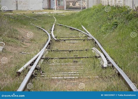 The Old Railway Rails Overgrown With Grass Stock Image Image Of