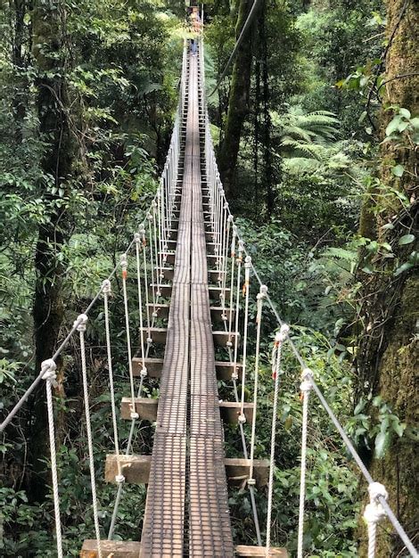 Premium Photo View Of Bridge In Forest