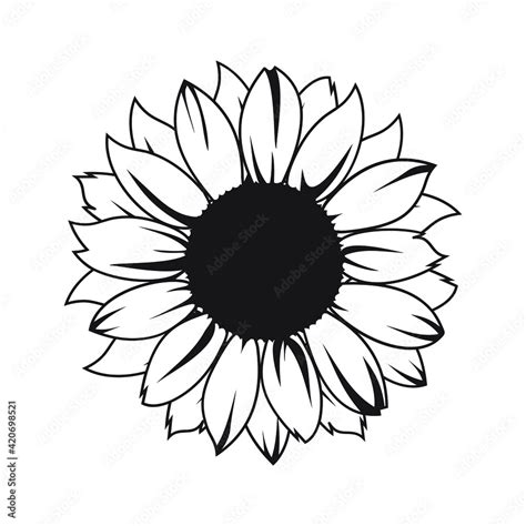 Sunflower Vector Illustration In Black Color Stock Vector Adobe Stock