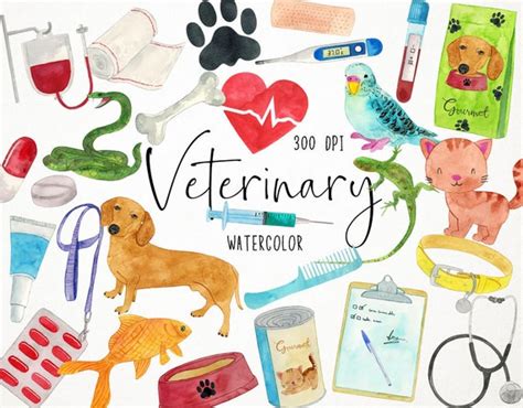 Watercolor Veterinary Clipart Vet Clipart Veterinary Center - Etsy