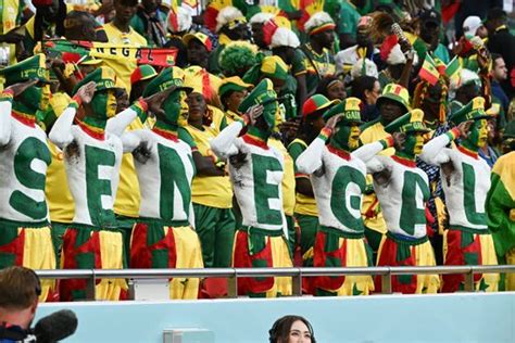 Senegalese Fans Attend Qatar V Senegal Editorial Stock Photo Stock