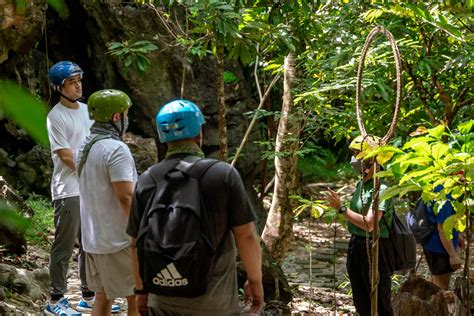 Vico Sotto Climbs Masungi And Plants A Threatened Species Of Tree