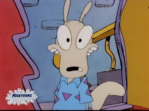 Pin by toast toast on Rocko’s modern life | Rocko’s modern life, Rocko's modern life, 90s nostalgia