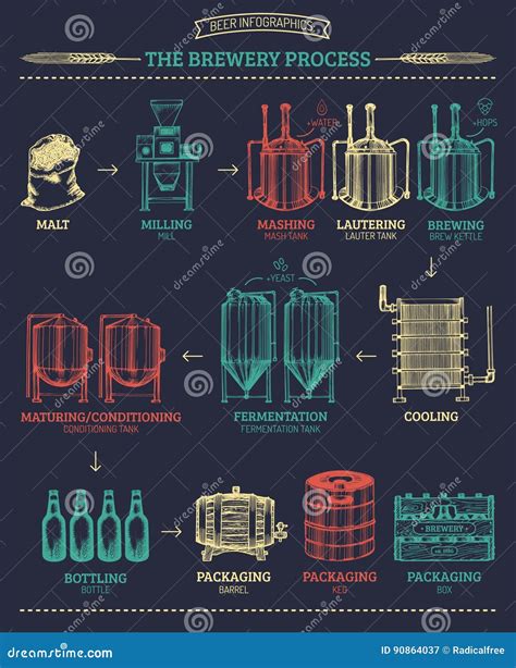 Vector El Infographics De La Cerveza Con Los Ejemplos Del Proceso De La