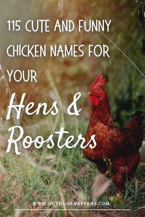 Cute And Funny Chicken Names Almighty List For Hens And Roosters