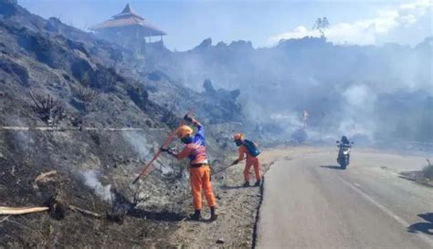 Bpbd Kota Batu Ungkap Kebakaran Gunung Arjuno Ternyata Hampir Seribu