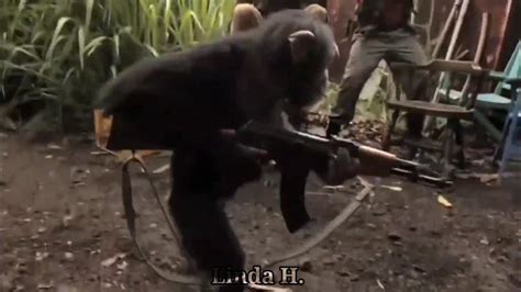 Monkey with Ak-47 | Shot on iPhone meme - YouTube