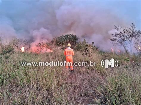 Incêndio florestal de grandes proporções é controlado após sete horas