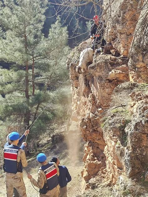 Uşak ta mahsur kalan 8 keçi kurtarıldı Haberler