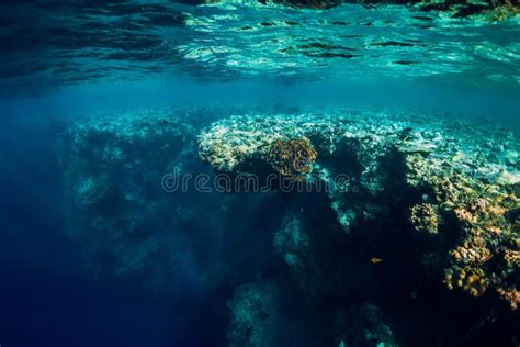 Underwater View with Rocks and Corals in Transparent Blue Ocean ...