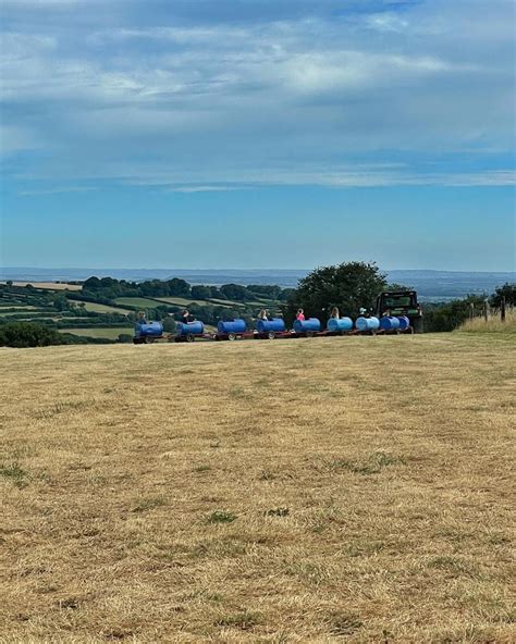 Best Farm Shops In Somerset Down Somerset Way