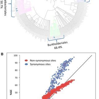 Equilibrium GC content (GC eq ) and the observed GC content in the five... | Download Scientific ...