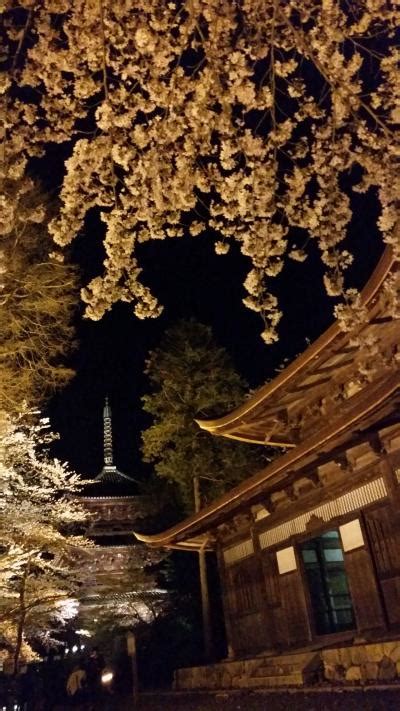 『三井寺の夜桜、見事なり。』滋賀県の旅行記・ブログ By ながさまさん【フォートラベル】