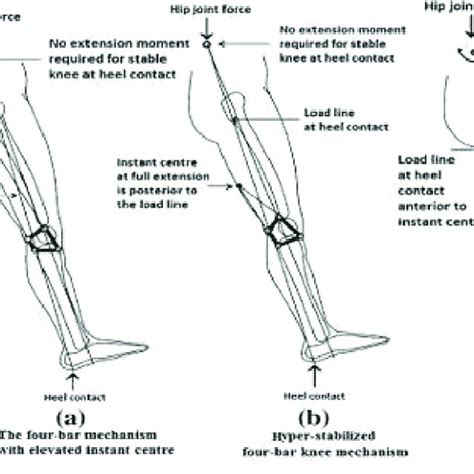 PDF Study And Evaluation Of Four Bar Polycentric Knee Used In The