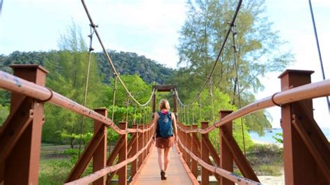 Penang Turtle Sanctuary - Penang National Park 2025