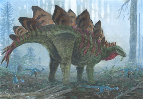 Stegosaurus stenops by tuomaskoivurinne on DeviantArt