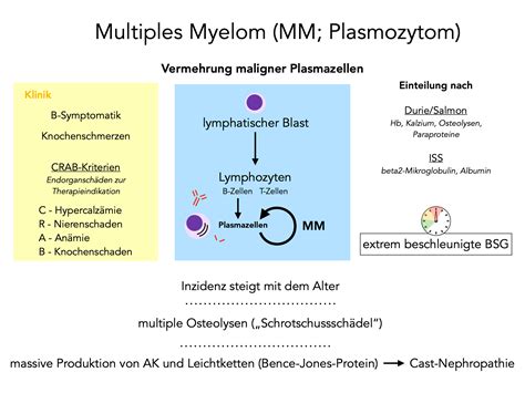 Multiples Myelom H Matologie