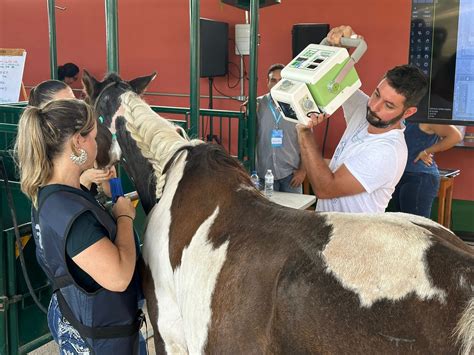 Curso sobre coluna vertebral reúne cerca de 90 veterinários do Brasil e