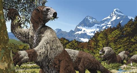 What Did Giant Sloths Eat? Megatherium's Diet - Animal Hype