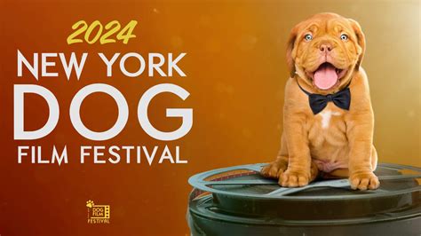 8th Annual NY Dog Film Festival