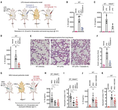 Hdac Mediates An Aggresome Like Mechanism For Nlrp And Pyrin