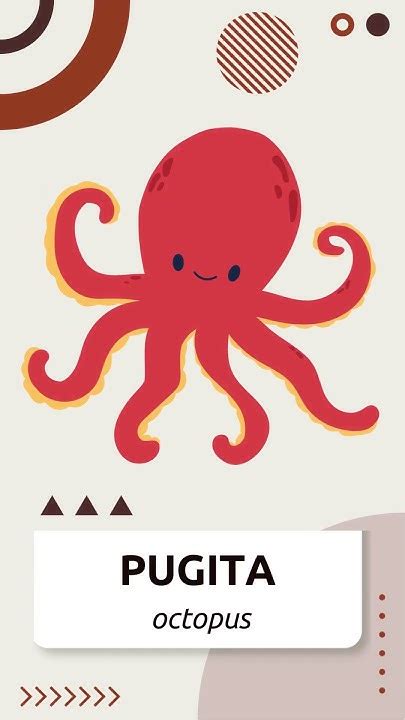 pugita octopus filipino english vocabulary learn filipino