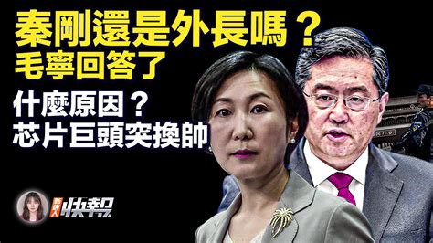 【新唐人快報】秦剛還是外長嗎？毛寧回答了 芬太尼 芯片 新唐人电视台