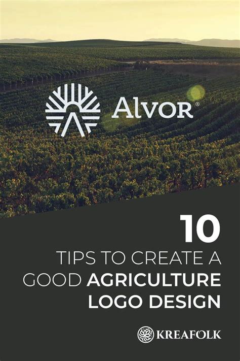 An Image Of A Vineyard With The Words 10 Tips To Create A Good