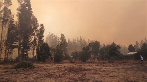 Incendio Forestal Con Amenaza A Viviendas En Santa B Rbara