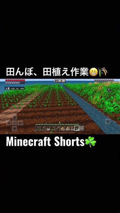 Minecraftshortsminecraft田んぼ、田植え作業😁🌾【マイクラ】shorts Youtube