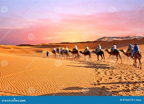 Camel Caravan Going Through The Sand Dunes In The Sahara Desert