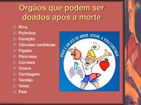 Qual O Órgão Não Pode Ser Doado - PPT - Doação de órgãos e tecidos PowerPoint Presentation, free download ...