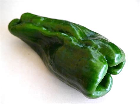 Foods For Long Life Quick And Easy Poblano Rajasno Need To Peel Poblanos