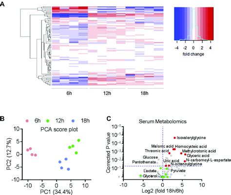 Metabolomic Profiles After Short And Prolonged Fasting A Heatmap Of