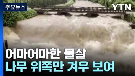 제보영상 어마어마한 물살 나무 위쪽만 겨우 보여 피해 속출 Ytn 동영상 Dailymotion