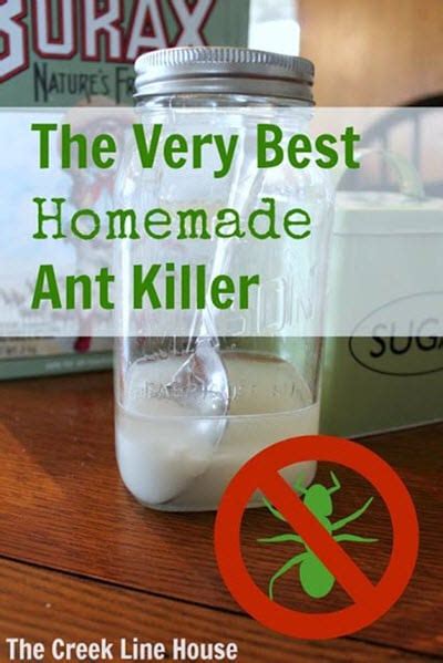 The Very Best Homemade Ant Killer - Homestead & Survival