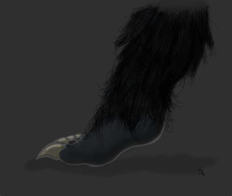 Werewolf Foot by MyPetWerewolf on DeviantArt