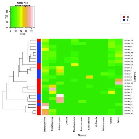 Heat Map Showing The Relative Abundance Of Selected Most Abundant Download Scientific Diagram