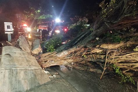 Persona Electrocutada Rboles Ca Dos Y Techos Derrumbados Por Lluvia