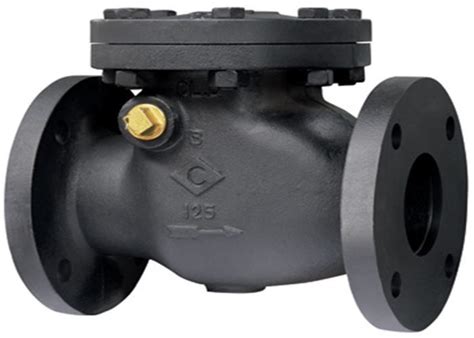 ANSI Rustproof Cast Iron Swing Check Valve Hydraulic Swing Check