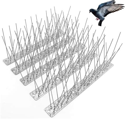 Amazon Remiawy Bird Spikes For Pigeons Small Birds Bird