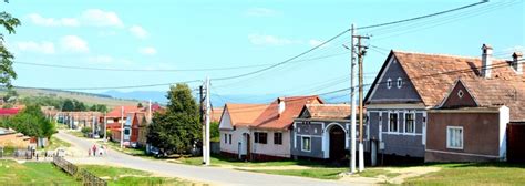 ungra images browse  stock  vectors  video adobe stock