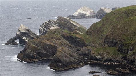 Avian influenza affects bird colonies in Shetland Islands - The ...