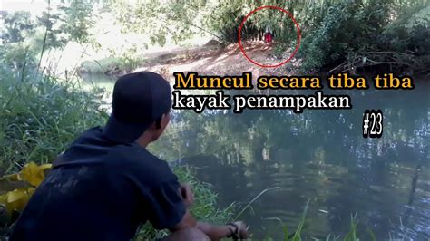 Muncul Secara Tiba Tiba Ketika Sedang Mancing Youtube