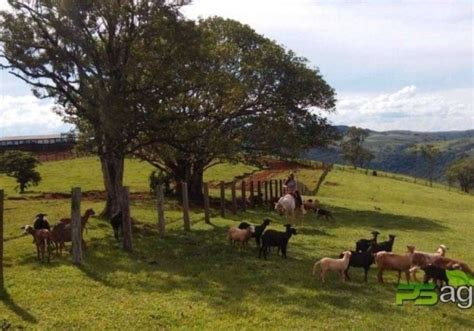 Chácaras em Boa Ventura de São Roque PR Chaves na Mão