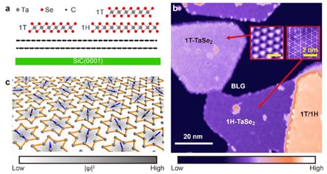 Structure Of Single Layer Tase And T H Vertical Heterostructures